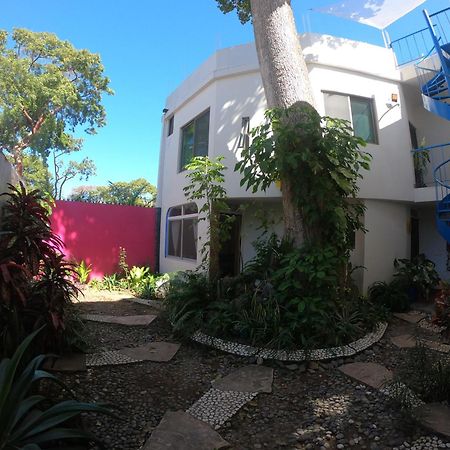 Casa Arbol De Paz Habitacion Doble Chacala  Ngoại thất bức ảnh