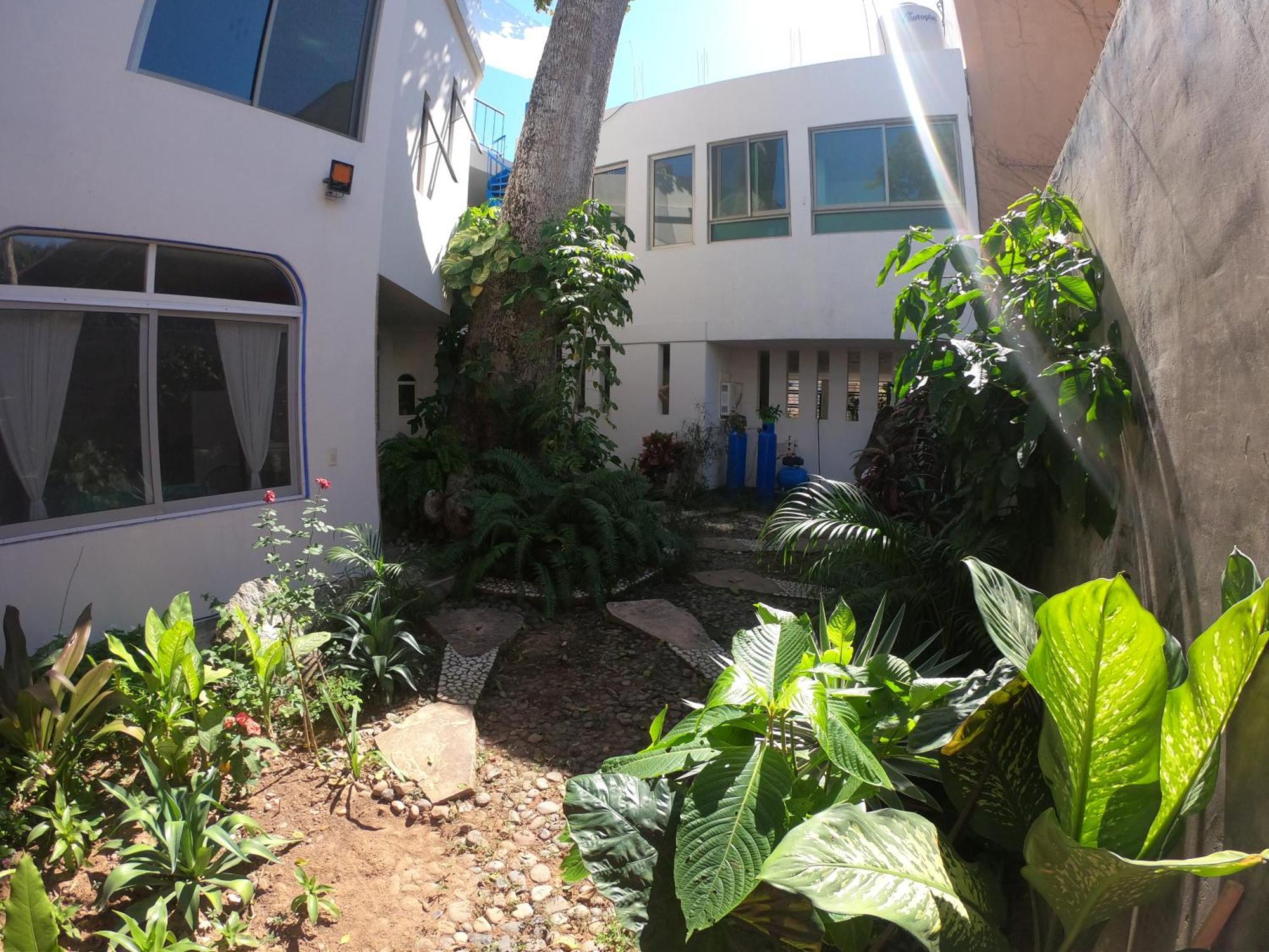 Casa Arbol De Paz Habitacion Doble Chacala  Ngoại thất bức ảnh