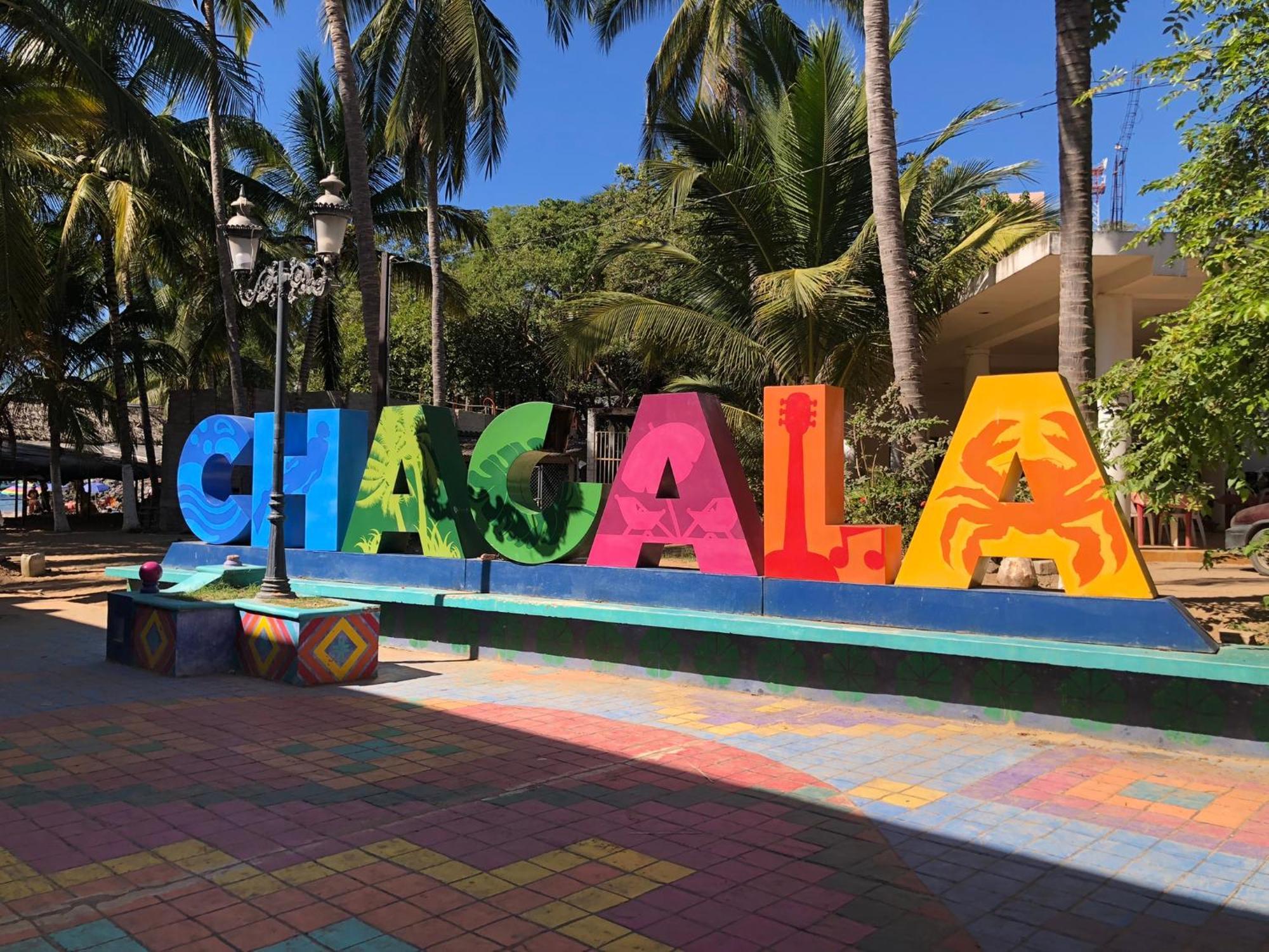 Casa Arbol De Paz Habitacion Doble Chacala  Ngoại thất bức ảnh